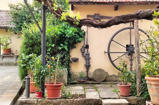 Top-Rated Arezzo Wine Tasting Tours