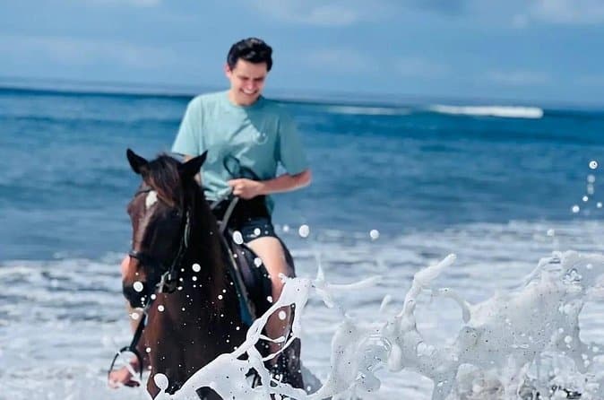 Top-Rated Horse Riding Tours in Jimbaran
