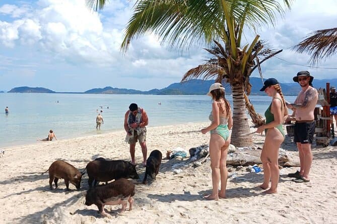 Best Koh Samui Island Hopping Tours in Surat Thani