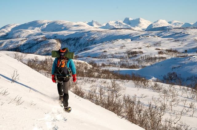 Snowshoeing - Winter Day Trip in Bodø, Northern Norway