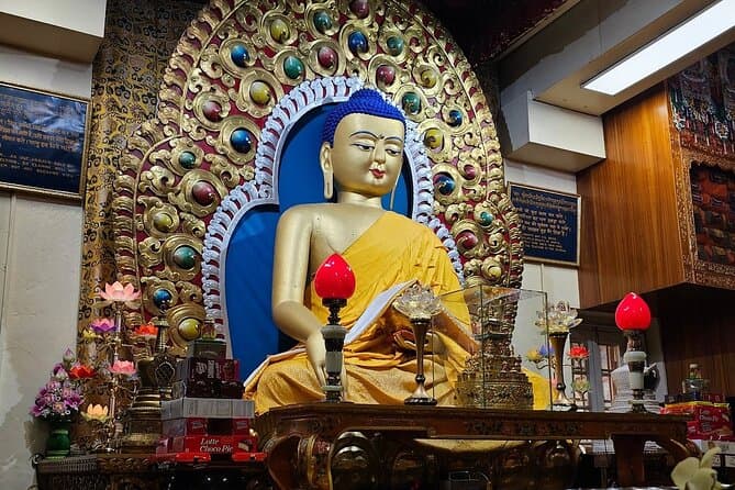 Best Dharamshala City Tour: Discover Local Gems & Culture