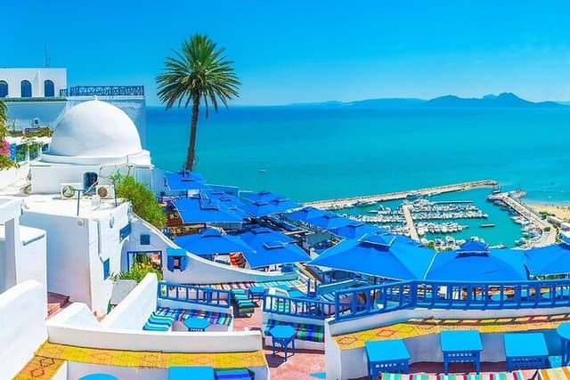VIP : Carthage, Sidi Bou Said and Medina , Tour Bardo Museum