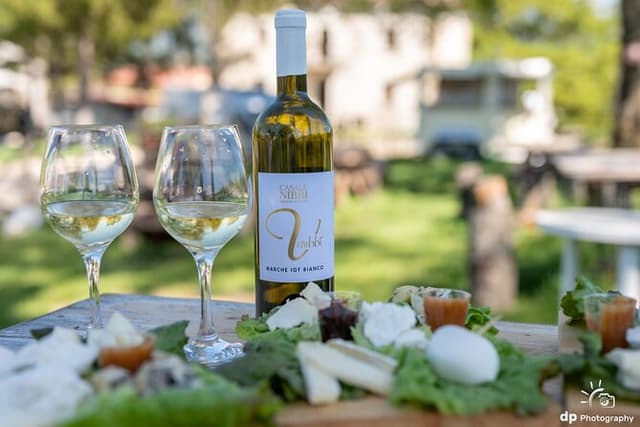 Private Cheese Tasting Experience in Amatrice