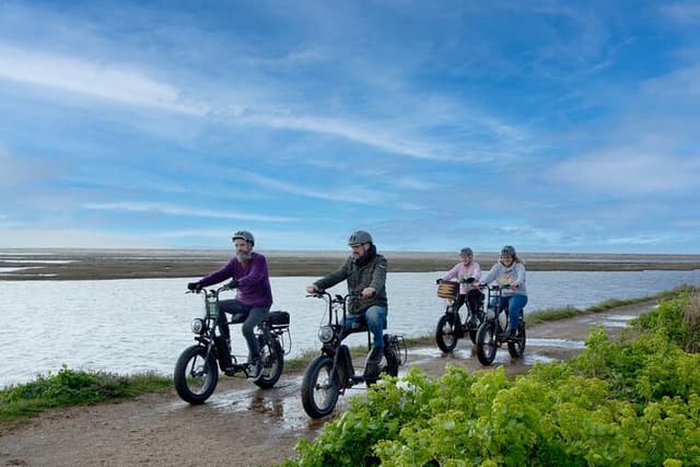 New Forest E-Bike Adventure