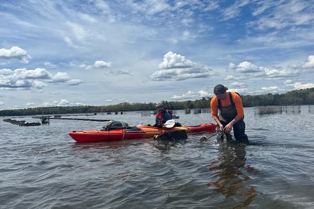 Oyster Tasting and Kayak Tour