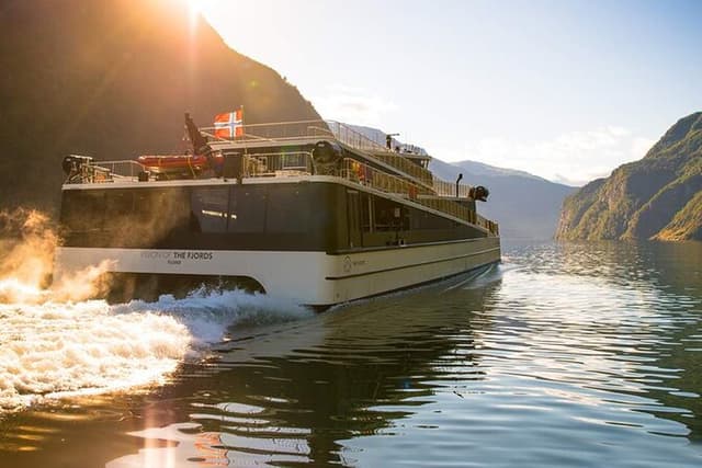 Private Guided Tour to Oslo Nærøyfjord Cruise and Flåm Railway