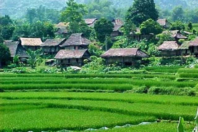 Private One Day Excursion in Mai Chau