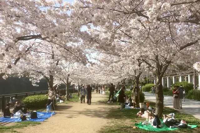 Private Osaka Tour from Your Hotel with Local Guide