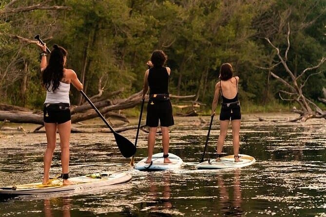 Best Toronto Islands Tours & Waterfront Experiences