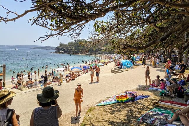 Sydney Shores and Suburban Discovery- Watsons Bay and Bondi Beach