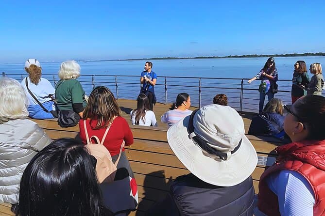Best Porto Alegre City Tour: Explore Top Local Attractions