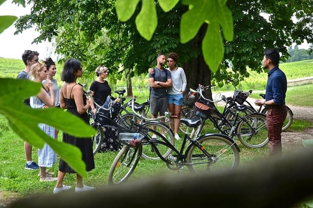 Half-Day E-Bike Tour In Entre-Deux-Mers W/ Wine tasting & Lunch
