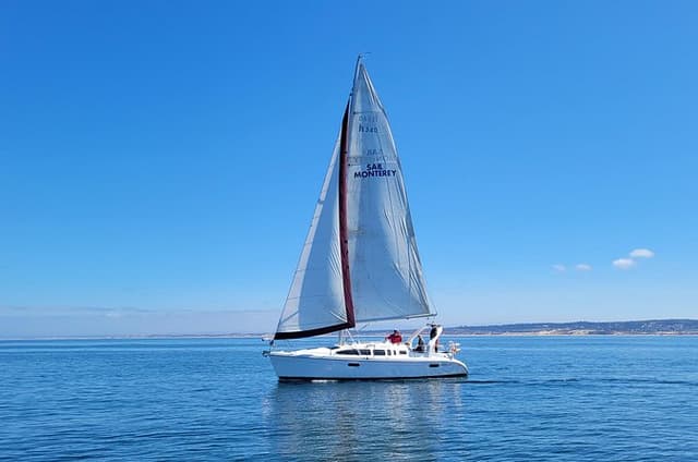 Monterey Private 3 - 4 Hour Whale Watching Cruise