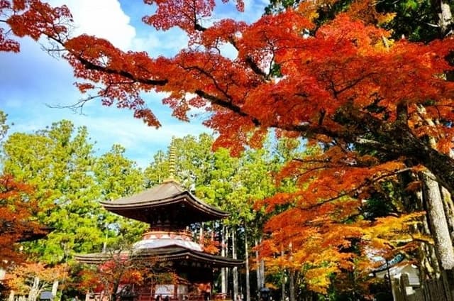 Mt Koya and Kishi Station 1 Day Bus Tour from Osaka