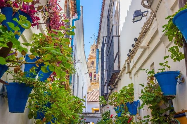 Cordoba Day Trip : A Journey Through History from Malaga