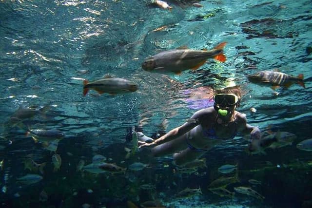 Private Multiday Tour to Panatal with Pickups