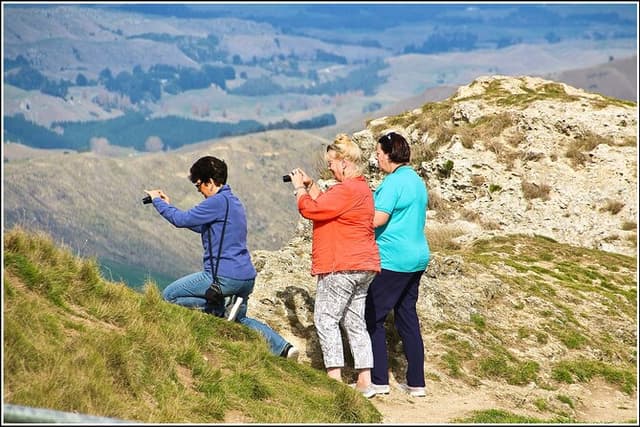 Hawkes Bay - Scenic, luncheon, wine Tour