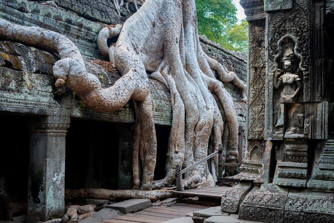 Best Siem Reap Temple Tours & Angkor Wat Experiences