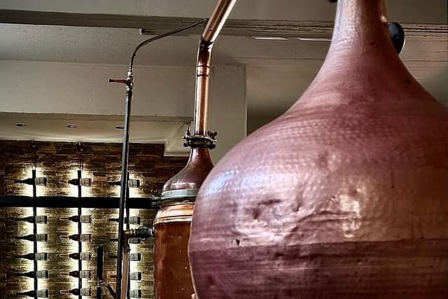 Farm-to-Glass Adventure: Olive Farm, Family Winery, Raki Tasting