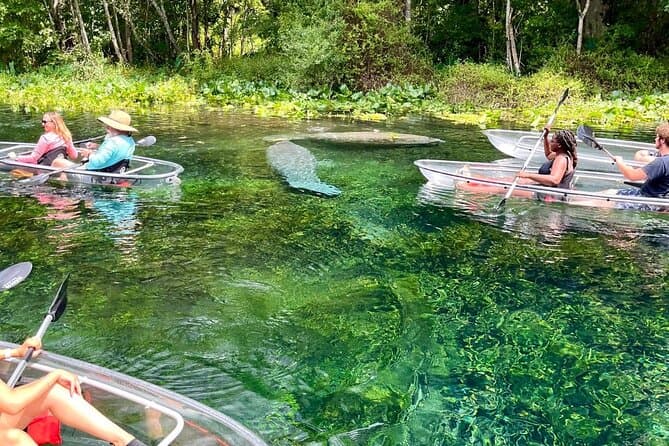 Best Silver Springs Kayak Tours & Orlando Nature Adventures
