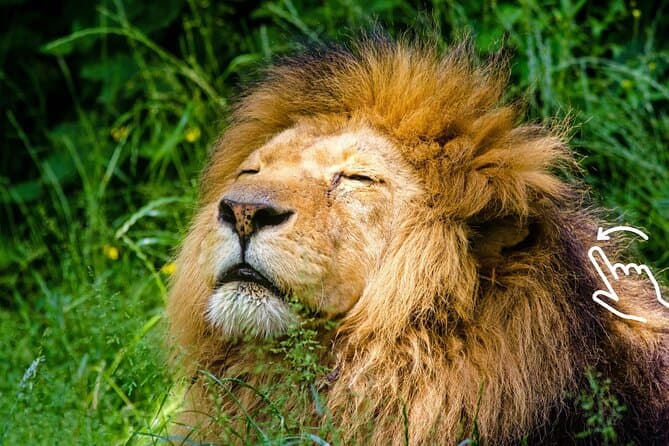 Explore Wildlife Wonders at Krakow Zoo