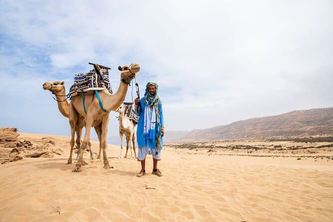 Unforgettable Agadir Sunset Camel Trek & Desert Safari