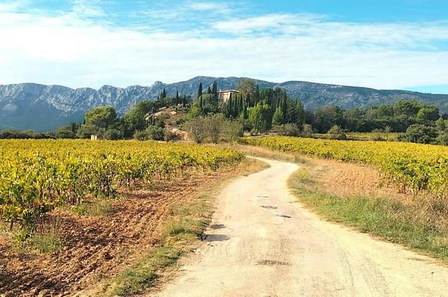Aix-en-Provence Local Wine Tour : Aperitif, Pétanque & Villages
