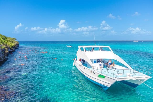 Full-Day Excursion to Discover Catalina Island with Lunch Option