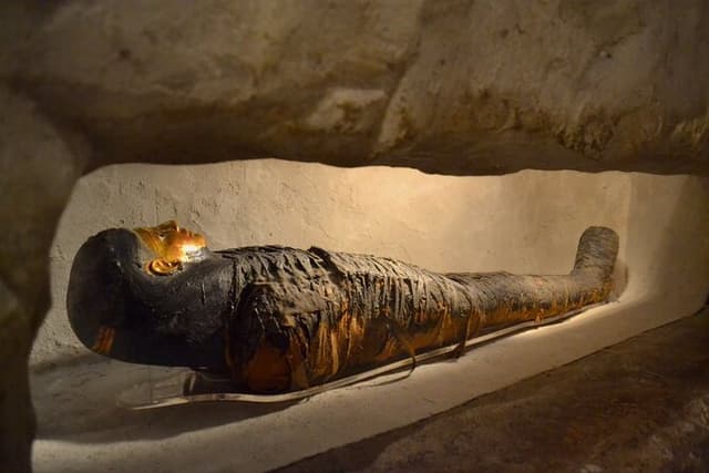Luxor Museum and Mummification Museum Private Tour with Guide