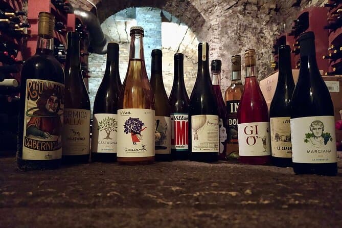 Authentic Wine Tasting Tours & Experiences in Rome