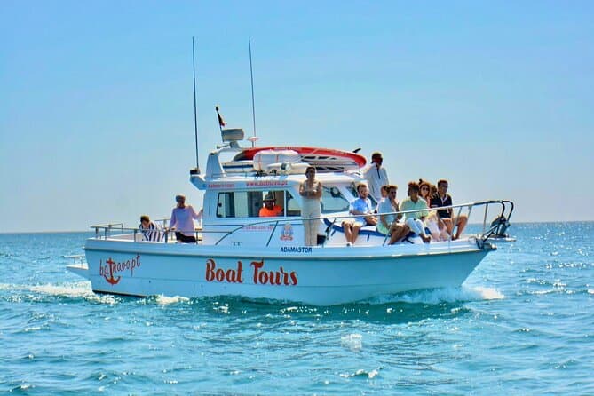 Best Sesimbra Boat Tours & Setubal Coastal Adventures