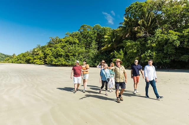 Cairns Super Saver: Reef Cruise, Daintree & Kuranda Rail/Skyrail