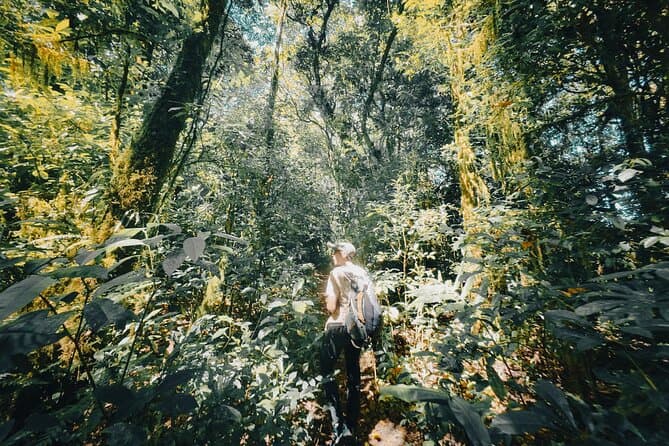 Unforgettable North Bali Jungle Trekking Adventures