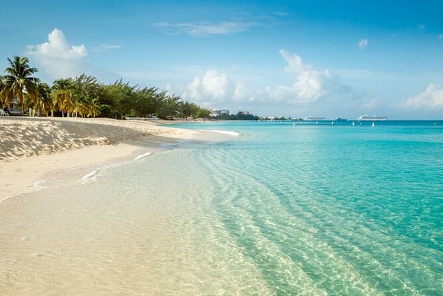 Private Shore Boat Tour: Stingray City, Rum Point & Bio Bay