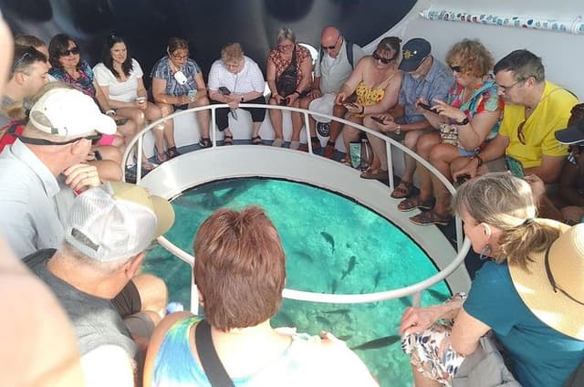 Oculus Glass Bottom Boat Tour