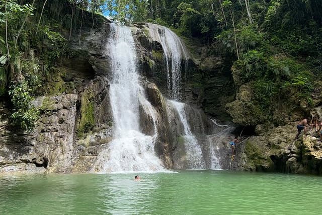 Tropical Rainforest in Gozalandia Waterfall Puerto Rico