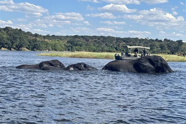 The Chobe Safari Day trip from Livingstone