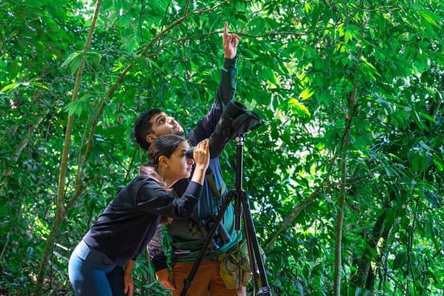 Monteverde Cloud Forest Reserve Guided Walk