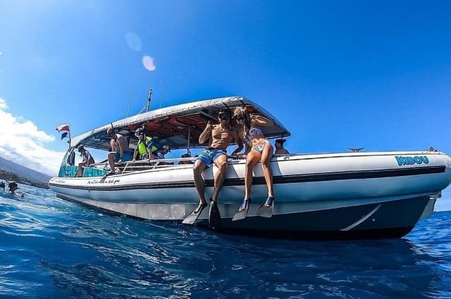 2 Hour Big Island Reef Snorkel & Dolphin Watch Tour
