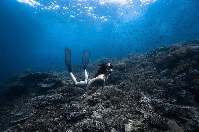 Beginner Freediving Course (with Bonus Session)