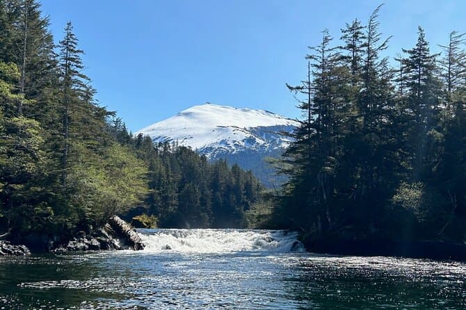 Compare Best Sitka Boat Tours & Cruises