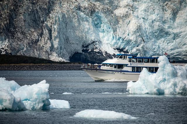 Kenai Fjords National Park Glacier & Wildlife Tour from Seward