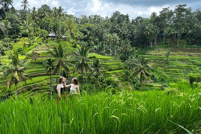 Best Bali Sunrise Tours: Ubud's Most Magical Morning Adventures