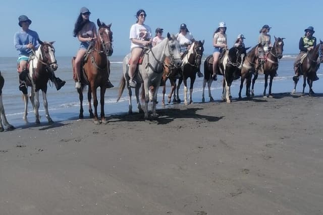 Horseback riding on the beaches of Cartagena