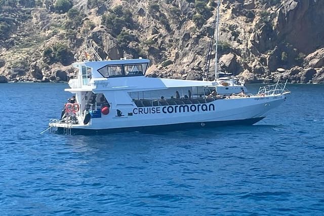 Paradise 4h Catamaran Tour of Mallorca and Puerto Andratx