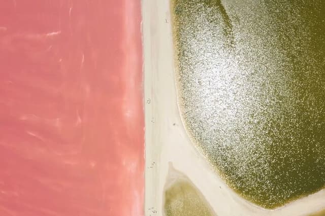 From Cancun: Rio Lagartos, Coloradas and Mayan Bath
