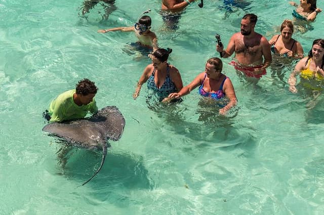 Private Tour Stingray City and One Snorkeling Stop
