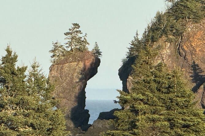 Bay of Fundy Tour