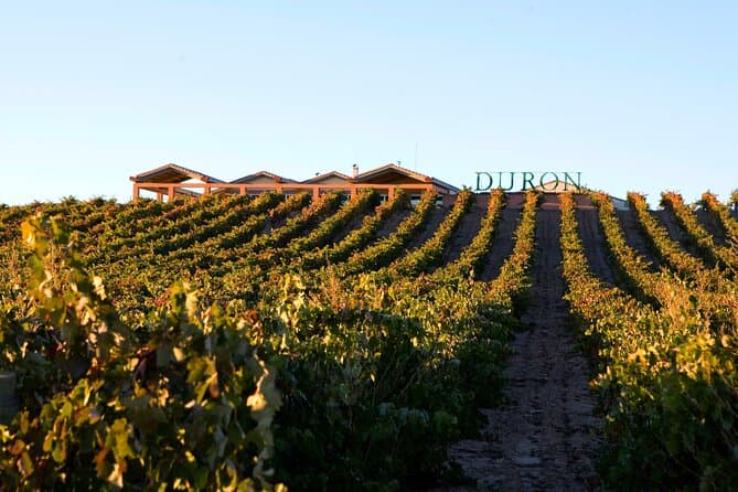 Top-Rated Segovia Wine Experiences