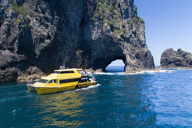 Best Hole in the Rock Cruises & Tours in Auckland